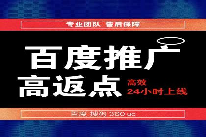 大型SEM服务公司案例分析